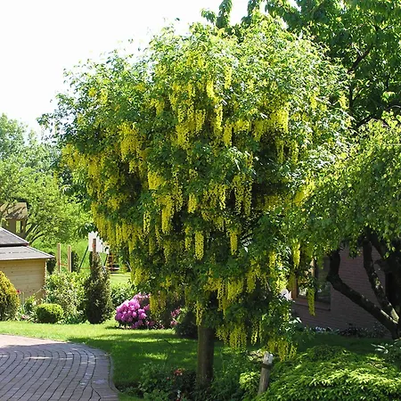 Appartement Evi Opp - Evita *